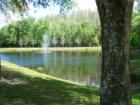Pond in Fawn Ridge, Citrus Park
