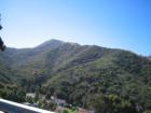 Catalina hillside
