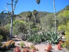 Botanical Gardens