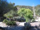One more botanical garden