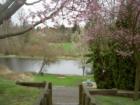 The Kiwanis Youth Finishing Pond from the top of westside of Jennings Memorial Park.