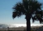 Edisto Beach-Now That's Heaven!