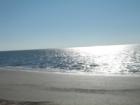 Visit calgriffin.com for Edisto Beach Photos