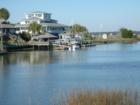 Visit calgriffin.com to see more of Edisto