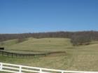 Purcellville countryside in Loudoun County, Virginia.  Copyright 2007 Lenn Harley