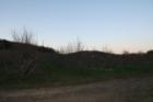 Apple Orchards in the Spring