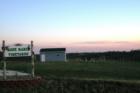 Rose Marie Vineyard Mondamin, Iowa