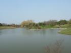 Chicago Botanic Garden in Glencoe -2