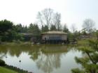 Chicago Botanic Garden -3