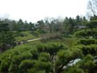 Chicago Botanic Garden -4