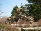 Chicago Botanic Garden -8