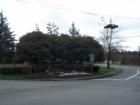 The entrance to the Meadows subdivision at the intersection of Deerbrush Dr. & Steilicoom Rd.
