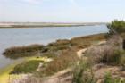 Wetland Reserve