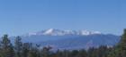 View from filing 2 of Cathedral Pines