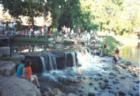 Creekside Waterfall