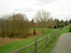 Jennings Nature Park and some of the newly planted trees.