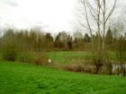 In the background, through the trees, is Jennings Memorial Park. This image is taken from the Westside of Jennings Nature Park in Marysville Washington.