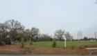 Ar117495028209544_l