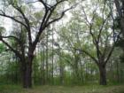 Property for sale at Lake Raymond Gary 580-212-5946