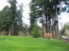Lake Lois Park in the heart of Lacey; backs up to undeveloped land and walking trails owned by St. Martins College, a renouned engineering school.