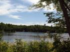 Quiet...Like Gold Pond!