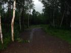 New Roads And Driveway Have To Be Built To Not Cause What Is Called "Non Source Point Pollution"..Or Silt With Phosphorous Which Causes Algae And Plantlife To Grow!