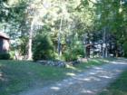Simple Access Roads Double As Logging Roads When Trees Mature!