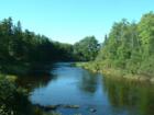 Paddle Down This...Work Up An Appetite For Supper!