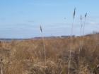 Lower Township Beach as seen from Douglass Park - looking north