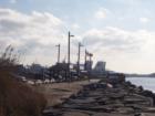 The Fleet