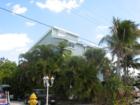 FMB in winter, Lee County, FL