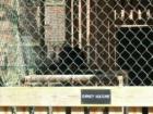 Turkey Vulture being rehabilitated at San-Lee Park in Sanford, NC