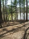 Outdoor chapel at San-Lee park in Sanford, NC