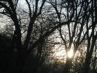 Sunset at Lake Ellyn Park 