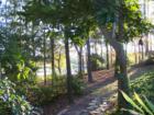 Trail to Intracoastal Photo by Ginger Sala