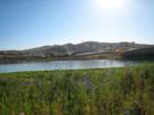 Dos Lagos Lake with spring wild flowers