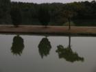 Reflection , in Morehead City 