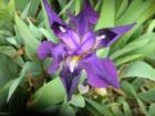 Welcome Spring, March in Morehead City is 75 degrees and spring is in the air!