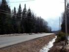Silverridge Is Woods, Some Open Ground But Taxes Go Directly To The State...Like Many Northern Maine Towns...Sparsely Populated! 