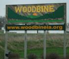 Welcome to Woodbine