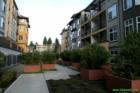 Courtyard at Chelsea Apartments