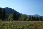 Looking into the Lolo National Forest just south of Superior