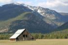 A barn outside of Trout Creek.
