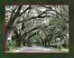 BROOKSVILLE FLORIDA PHOTO ENTRY FROM NICOLE SENSALE