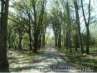 horse property Brooksville Fl