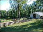 Spring Lake Area