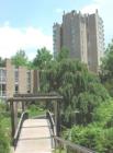 View of Bridge and Heron House on Reston's Lake Anne