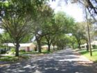 Grovewood gets its name from the large oak tree lined streets in this 129 - 3 & 4 bdrm home community between Belcher & US19 off Druid.  