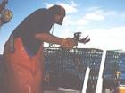 Fishing the atlantic is big along these coastal Maine towns like Cutler! 
