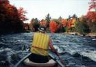 Outdoors, woods, water, wildlife.  Lambert Lake Maine offers plenty of the great Maine outdoors!
